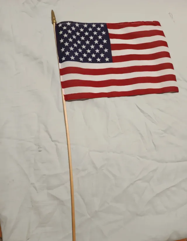 Bandera de mano EEUU