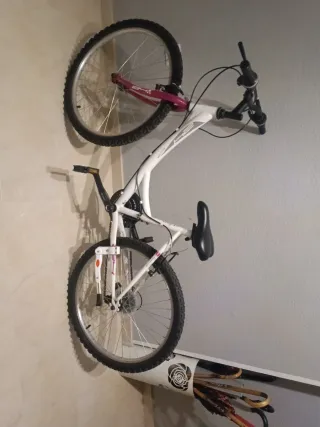 Bicicleta 24 pulgadas