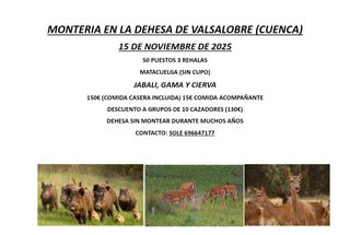 Puestos monteria valsalobre en cuenca