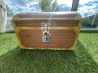 Baule di cartone per giocattoli