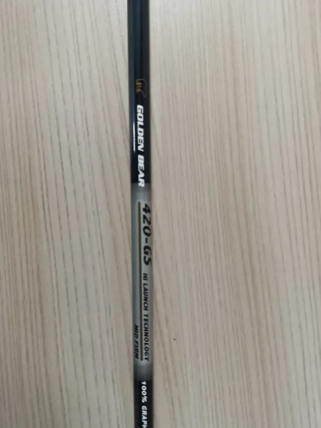 Golden Bear 420-GS Ferro 5