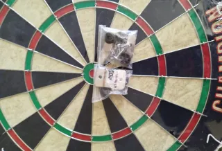 Diana de dardos Champion