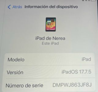 iPad gris Apple
