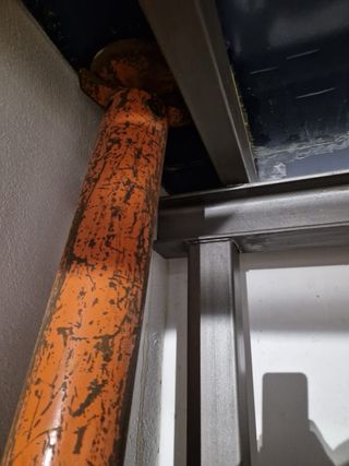 Palo de hierro naranja