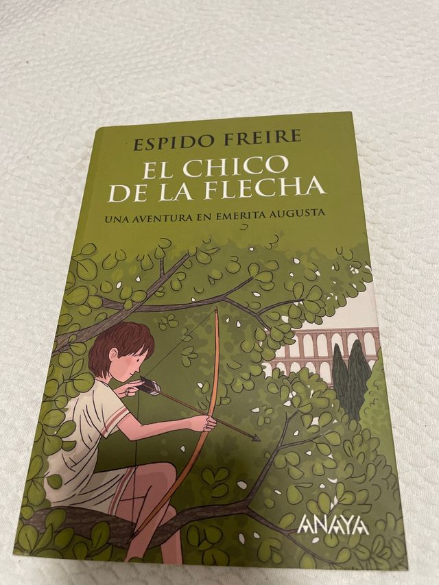 El chico de la flecha (Spanish Edition)