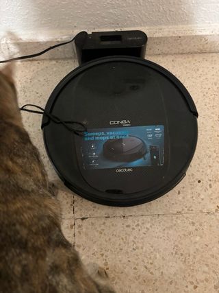 Robot Aspirador Cecotec Conga
