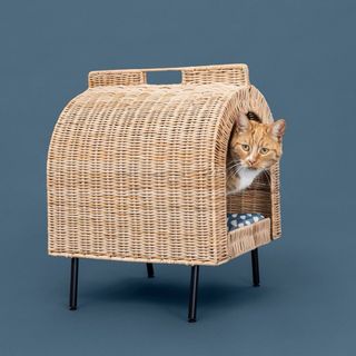 Casa cama para gatos IKEA UTSÅDD. no negociable