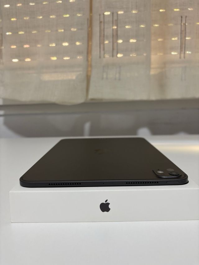 iPad Pro 11” M4 256GB 
