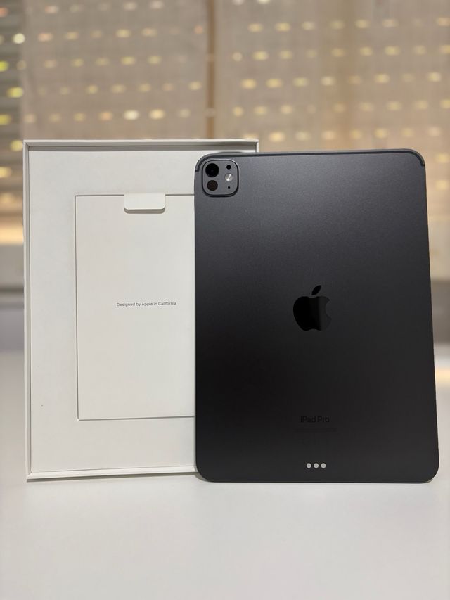 iPad Pro 11” M4 256GB 