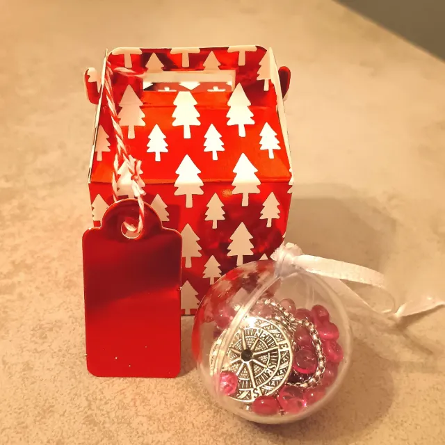 Collar brújula plateado