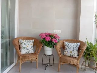 2 Poltrone in Vimini Marrone