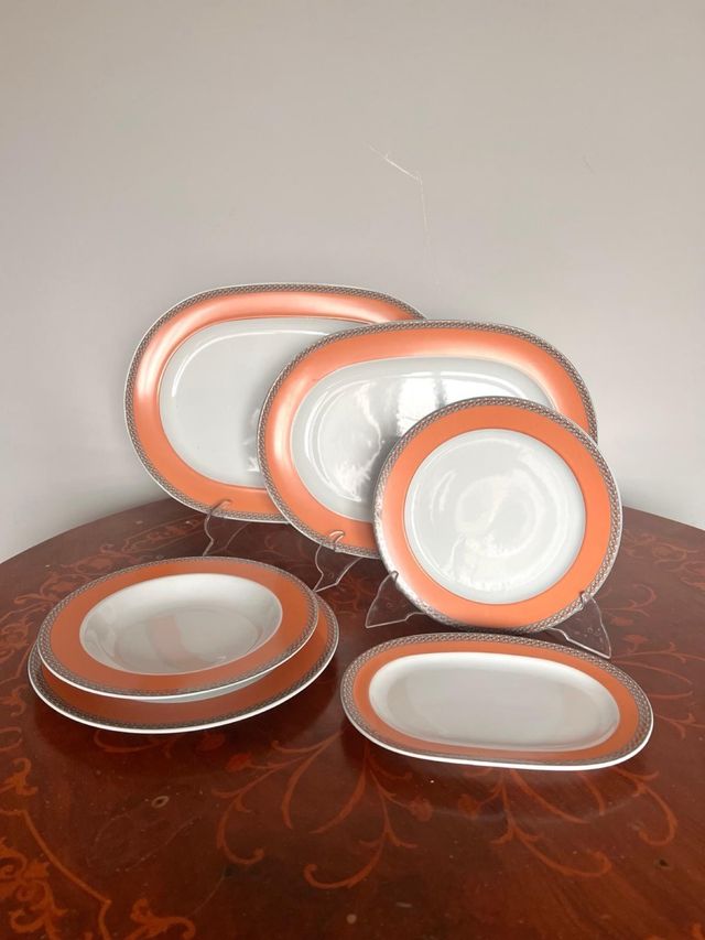 vajilla irabia modelo “salmón”