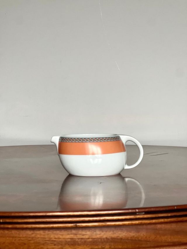 vajilla irabia modelo “salmón”