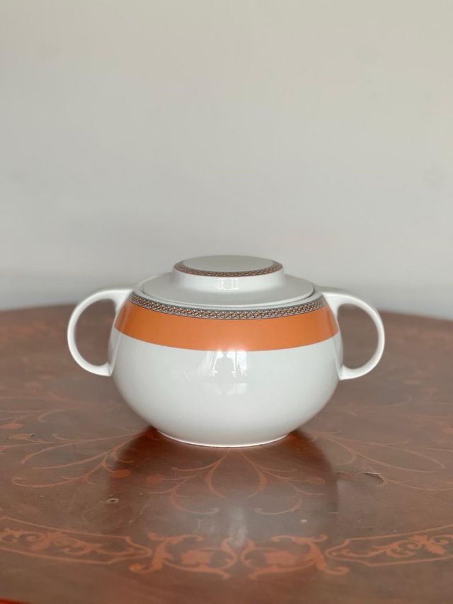 vajilla irabia modelo “salmón”