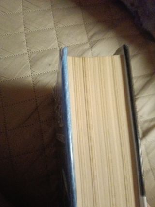 La rebelión de los buenos: Premio de Novela Fer...