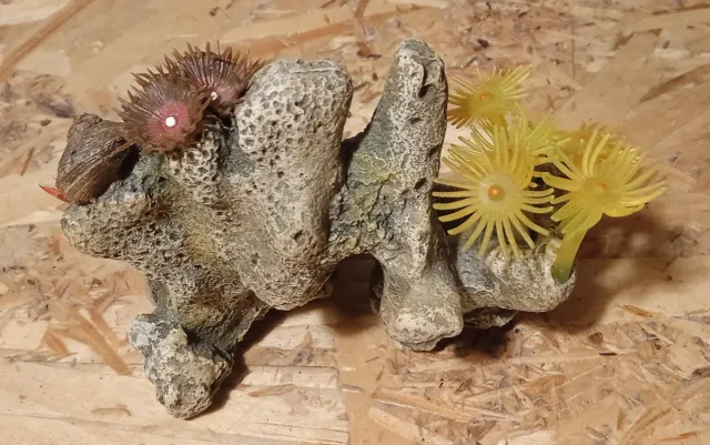 Decoración Acuario Coral Anémonas