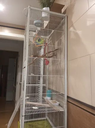 Jaula Voladera Grande Blanca