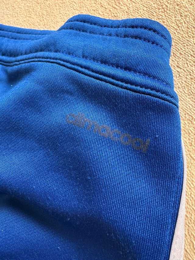 Pantalón Adidas Bayern Múnich Azul Talla M