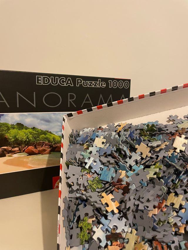 Puzzle Educa 1000 piezas