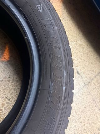 Neumáticos Dunlop Econodrive 225/55 R17C