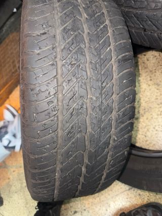 Neumáticos Dunlop Econodrive 225/55 R17C