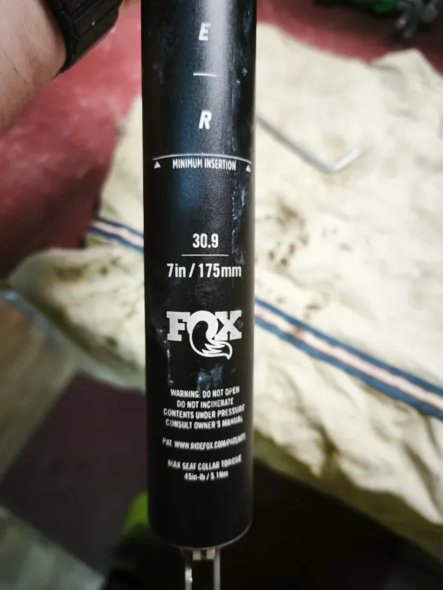 Tija Fox Transfer kashima