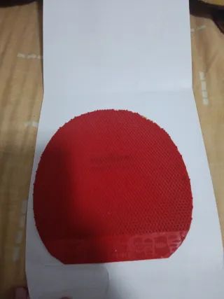 Picos largos Piranha rojo 15'7 x 15'1