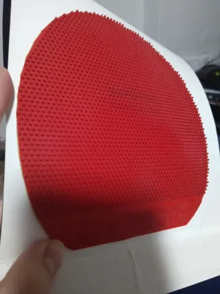 Picos largos Piranha rojo 15'7 x 15'1