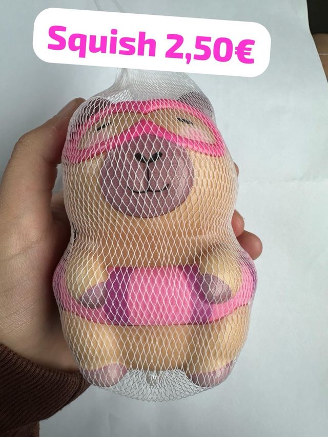 Squish capibara 2,50€