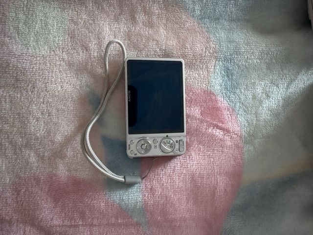 Cámara Digital Sony DSC-W290 Plata