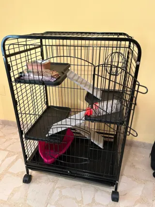 Jaula para conejo negra con accesorios