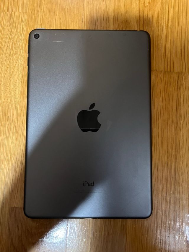 iPad mini 5 Space Gray