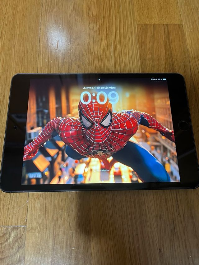 iPad mini 5 Space Gray