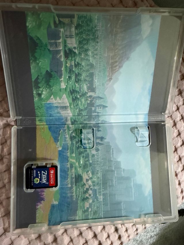 Zelda Echoes of Wisdom Nintendo Switch