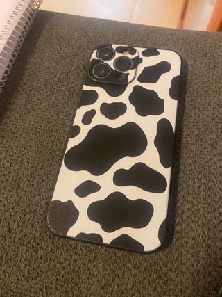 iPhone 13 Pro Max Multicolor