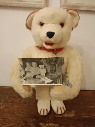 Teddy Bear antiguo con foto
