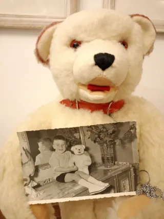 Teddy Bear antiguo con foto