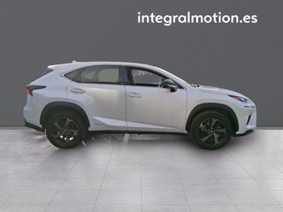 Lexus NX 2.5 300h Sport Edition 2WD