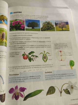 Biología y Geología 1ºESO - 9788414037256