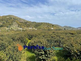 Piso en venta en Almuñecar en Almuñécar