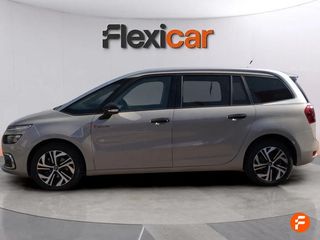 Citroën Grand C4 Picasso BlueHDi 88KW (120CV) Rip Curl