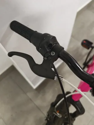 Bicicleta infantil ruedas 20