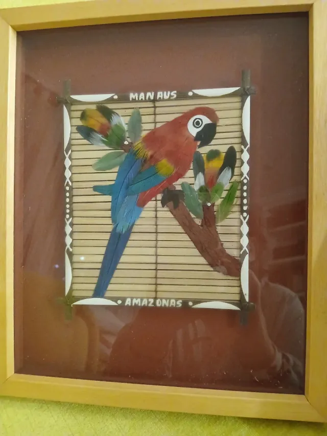 2 Cuadros Decorativos Aves Amazonas