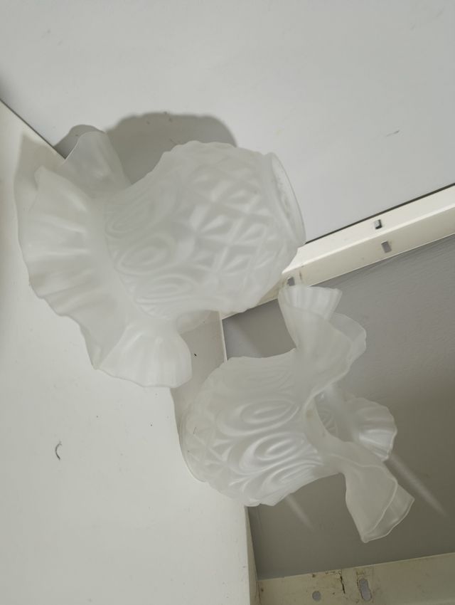 Pareja Tulipas Modernista Flor Cristal