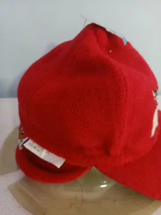 Gorra polar Looney Tunes Sylvester