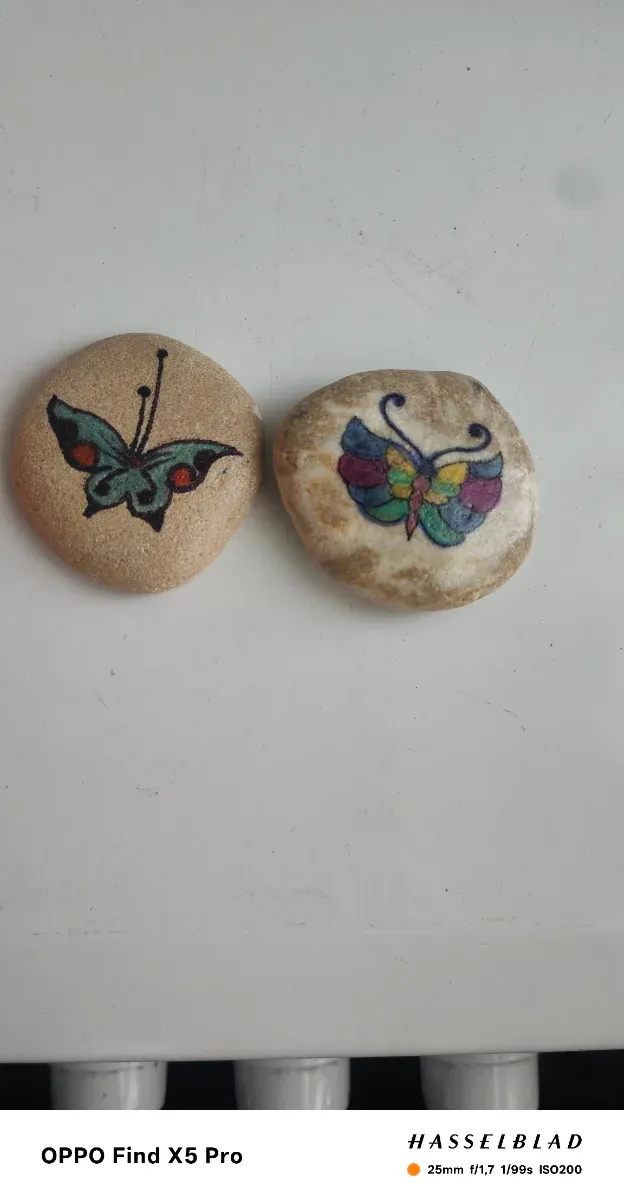 Ferma carte/posta con farfalle dipinte