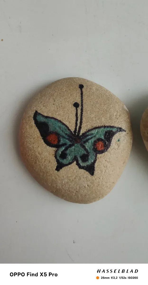 Ferma carte/posta con farfalle dipinte