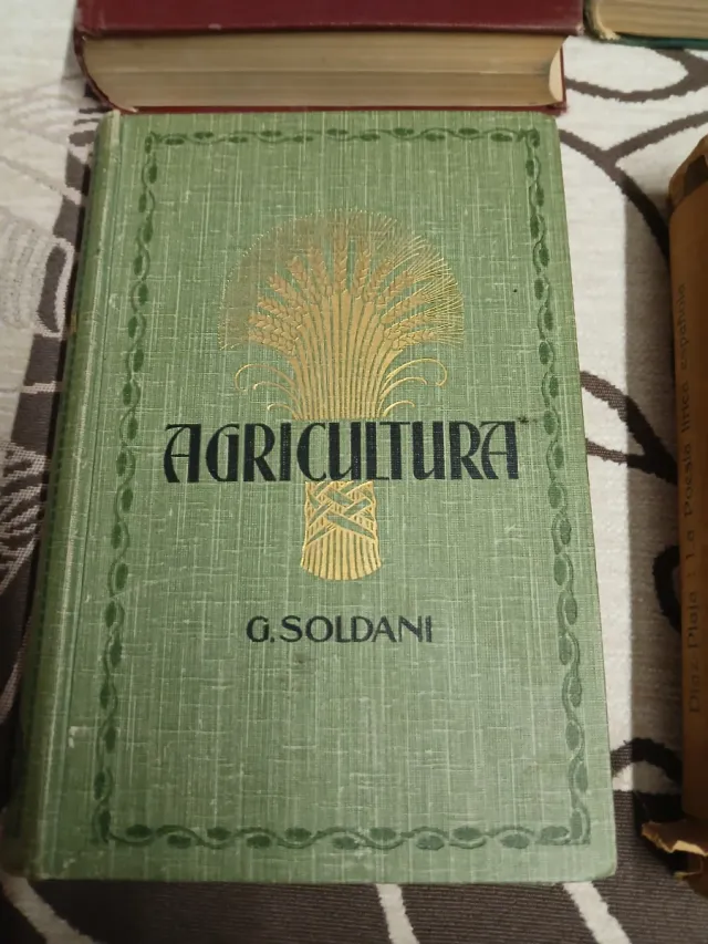 Lote de 6 libros antiguos