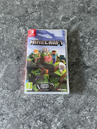 Minecraft Nintendo Switch
