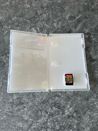 Minecraft Nintendo Switch